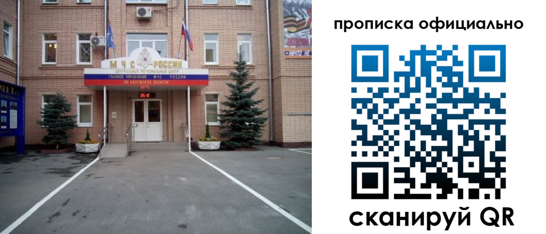 прописка для школы в Полярных Зорях